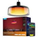 Govee Pendant Light