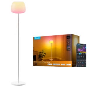 Govee Lantern Floor Lamp Light