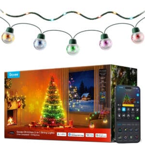 Govee Christmas 2-in-1 String Lights