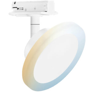 Ledvance Tunable White Circle Tracklight White