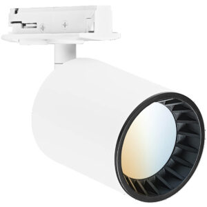 Ledvance Tunable White Osaka White