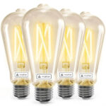Linkind Tunable White Edison Bulb ST19