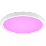 Philips Hue Tento Round Ceiling Panel Small