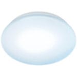 WiZ Cool White Adria Ceiling 17W